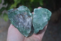 Natural Jade Cobbed Specimens x 12 From Swaziland - Toprock Gemstones and Minerals 