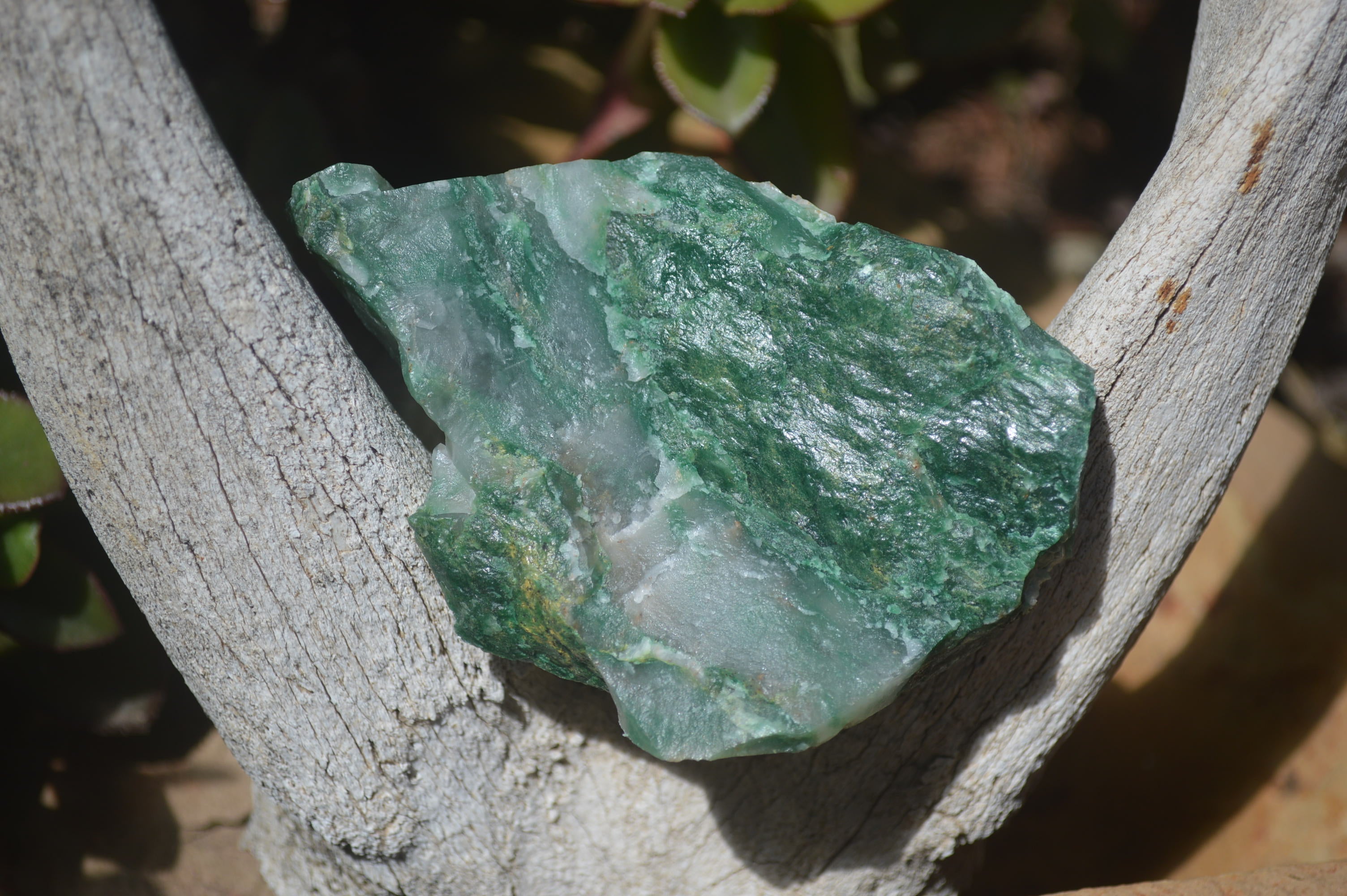 Natural Jade Cobbed Specimens x 12 From Swaziland - Toprock Gemstones and Minerals 