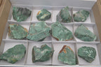 Natural Jade Cobbed Specimens x 12 From Swaziland - Toprock Gemstones and Minerals 