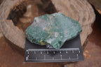 Natural Jade Cobbed Specimens x 12 From Swaziland - Toprock Gemstones and Minerals 