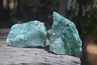 Natural Jade Cobbed Specimens x 12 From Swaziland - Toprock Gemstones and Minerals 