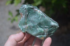 Natural Jade Cobbed Specimens x 12 From Swaziland - Toprock Gemstones and Minerals 