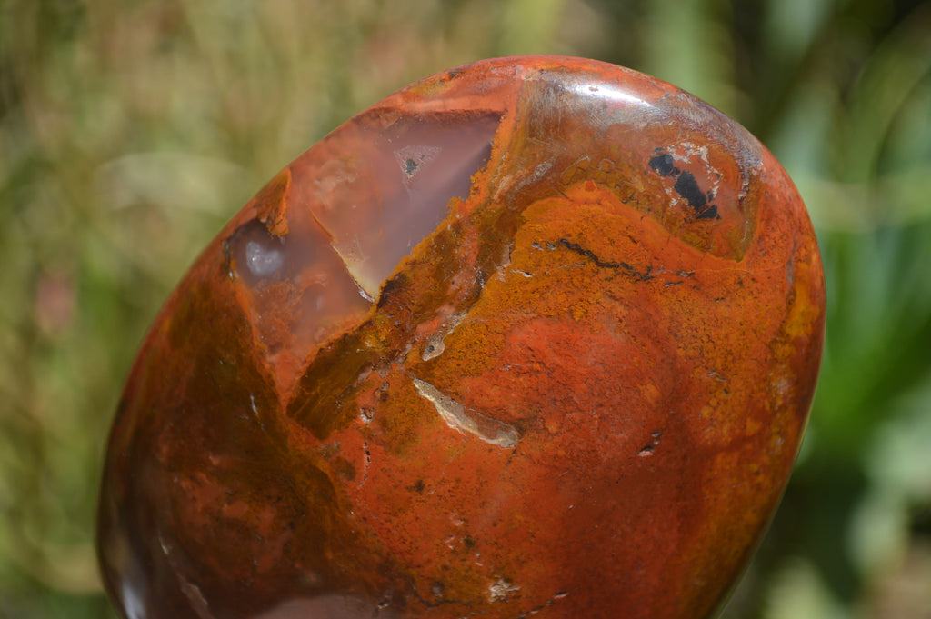 Polished Red Jasper Standing Free Forms x 6 From Madagascar - Toprock Gemstones and Minerals 