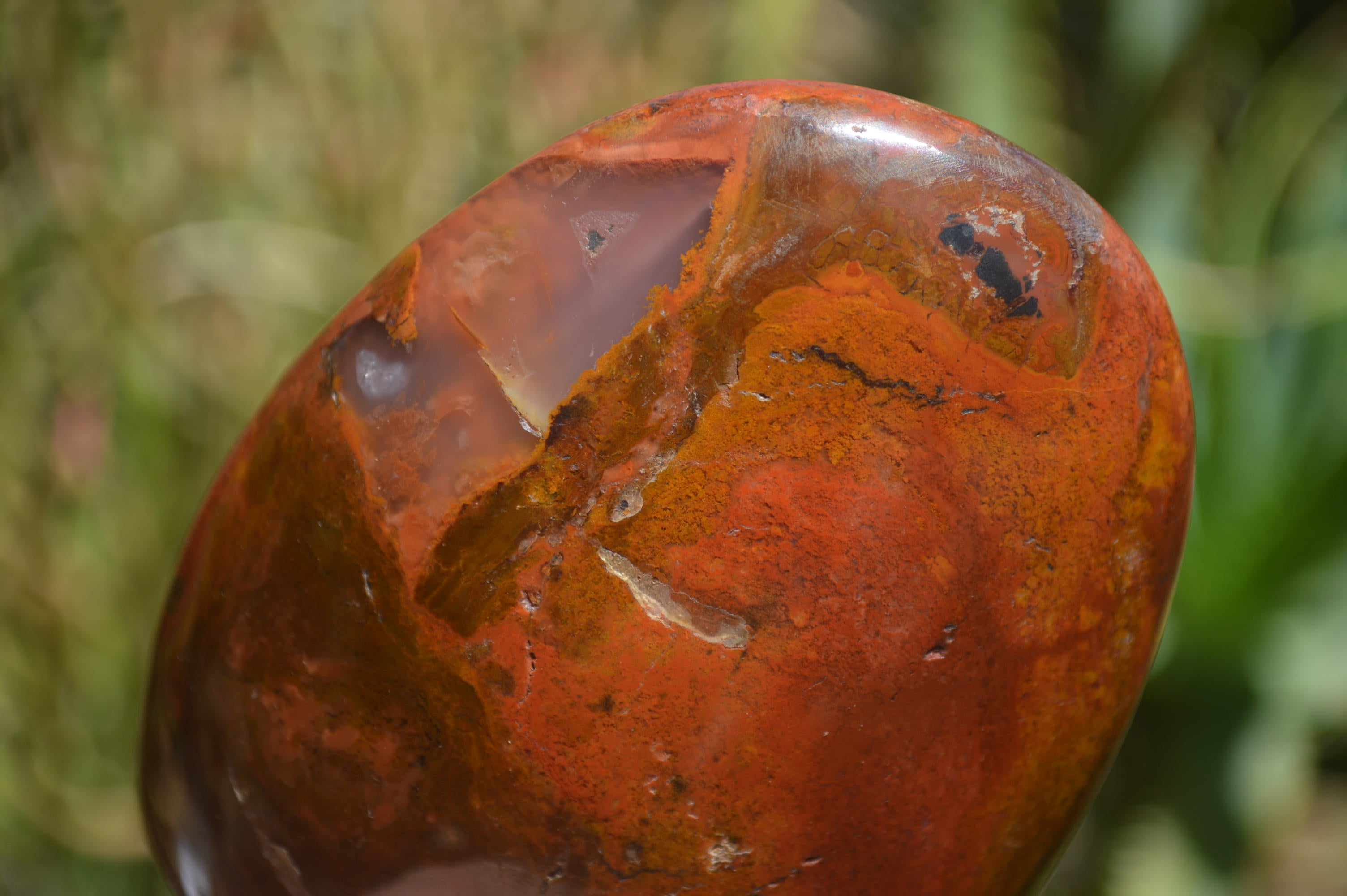 Polished Red Jasper Standing Free Forms x 6 From Madagascar - Toprock Gemstones and Minerals 