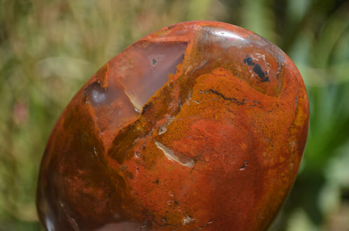 Polished Red Jasper Standing Free Forms x 6 From Madagascar - Toprock Gemstones and Minerals 