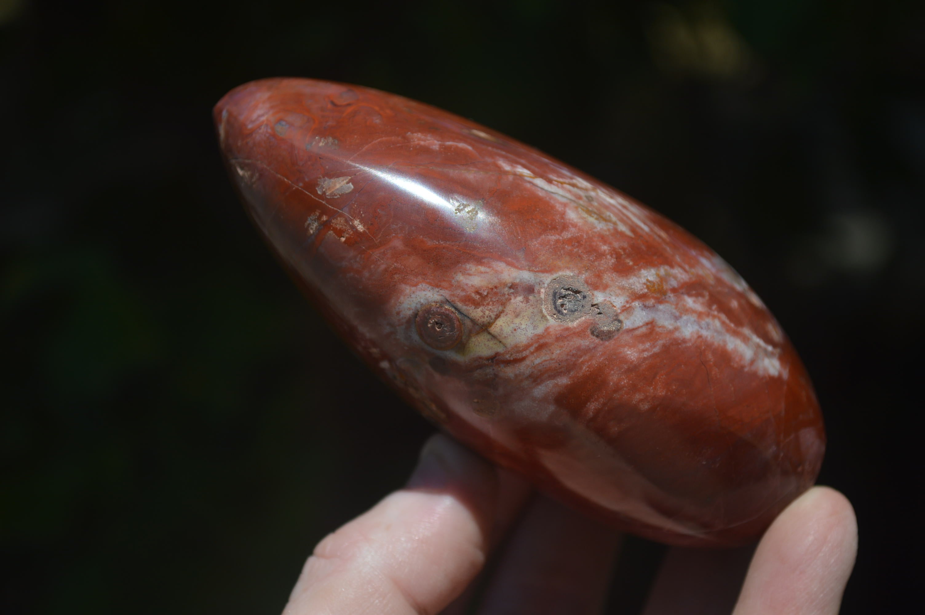 Polished Red Jasper Standing Free Forms x 6 From Madagascar - Toprock Gemstones and Minerals 