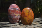 Polished Red Jasper Standing Free Forms x 6 From Madagascar - Toprock Gemstones and Minerals 