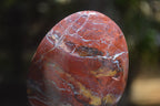 Polished Red Jasper Standing Free Forms x 6 From Madagascar - Toprock Gemstones and Minerals 