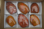 Polished Red Jasper Standing Free Forms x 6 From Madagascar - Toprock Gemstones and Minerals 