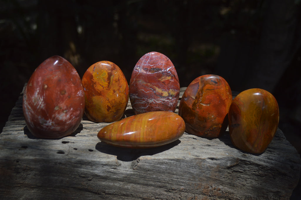 Polished Red Jasper Standing Free Forms x 6 From Madagascar - Toprock Gemstones and Minerals 