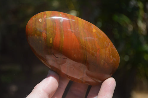 Polished Red Jasper Standing Free Forms x 6 From Madagascar - Toprock Gemstones and Minerals 