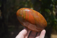 Polished Red Jasper Standing Free Forms x 6 From Madagascar - Toprock Gemstones and Minerals 