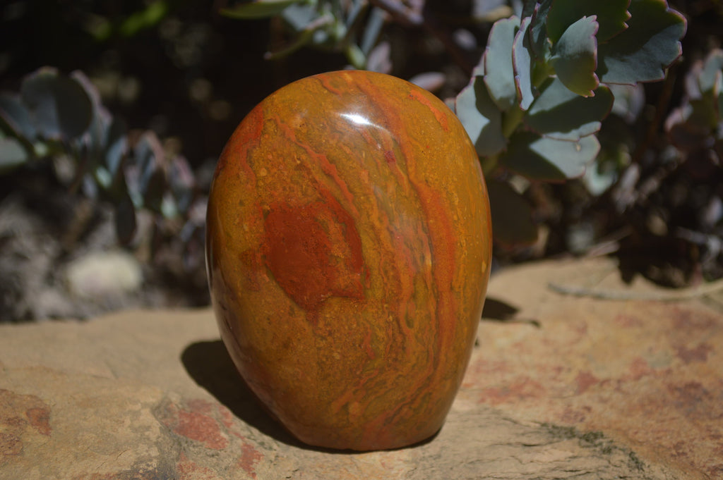 Polished Red Jasper Standing Free Forms x 6 From Madagascar - Toprock Gemstones and Minerals 