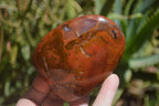 Polished Red Jasper Standing Free Forms x 6 From Madagascar - Toprock Gemstones and Minerals 