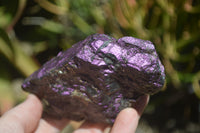 Natural Metallic Purpurite Cobbed Specimens x 5 From Erongo, Namibia - Toprock Gemstones and Minerals 