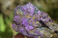 Natural Metallic Purpurite Cobbed Specimens x 5 From Erongo, Namibia - Toprock Gemstones and Minerals 