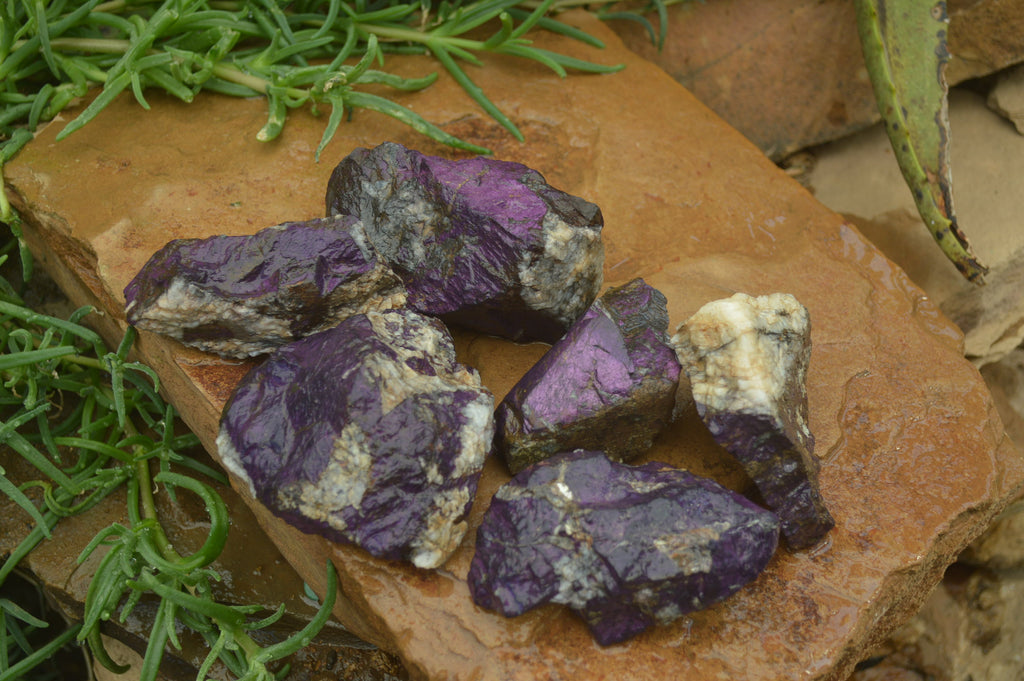 Natural Metallic Purpurite Cobbed Specimens x 6 From Erongo, Namibia - Toprock Gemstones and Minerals 
