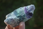 Natural Watermelon Fluorite Cobbed Specimens x 11 From Uis, Namibia - Toprock Gemstones and Minerals 