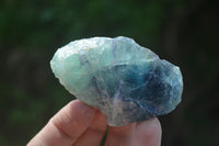 Natural Watermelon Fluorite Cobbed Specimens x 11 From Uis, Namibia