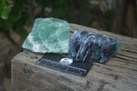 Natural Watermelon Fluorite Cobbed Specimens x 11 From Uis, Namibia
