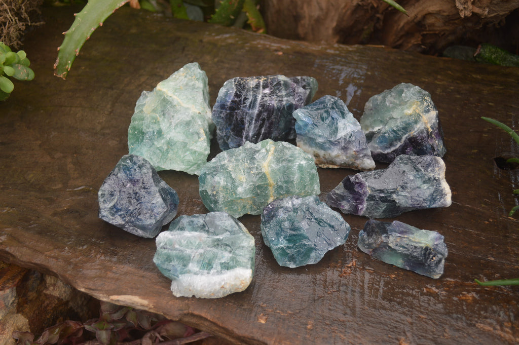 Natural Watermelon Fluorite Cobbed Specimens x 11 From Uis, Namibia - Toprock Gemstones and Minerals 