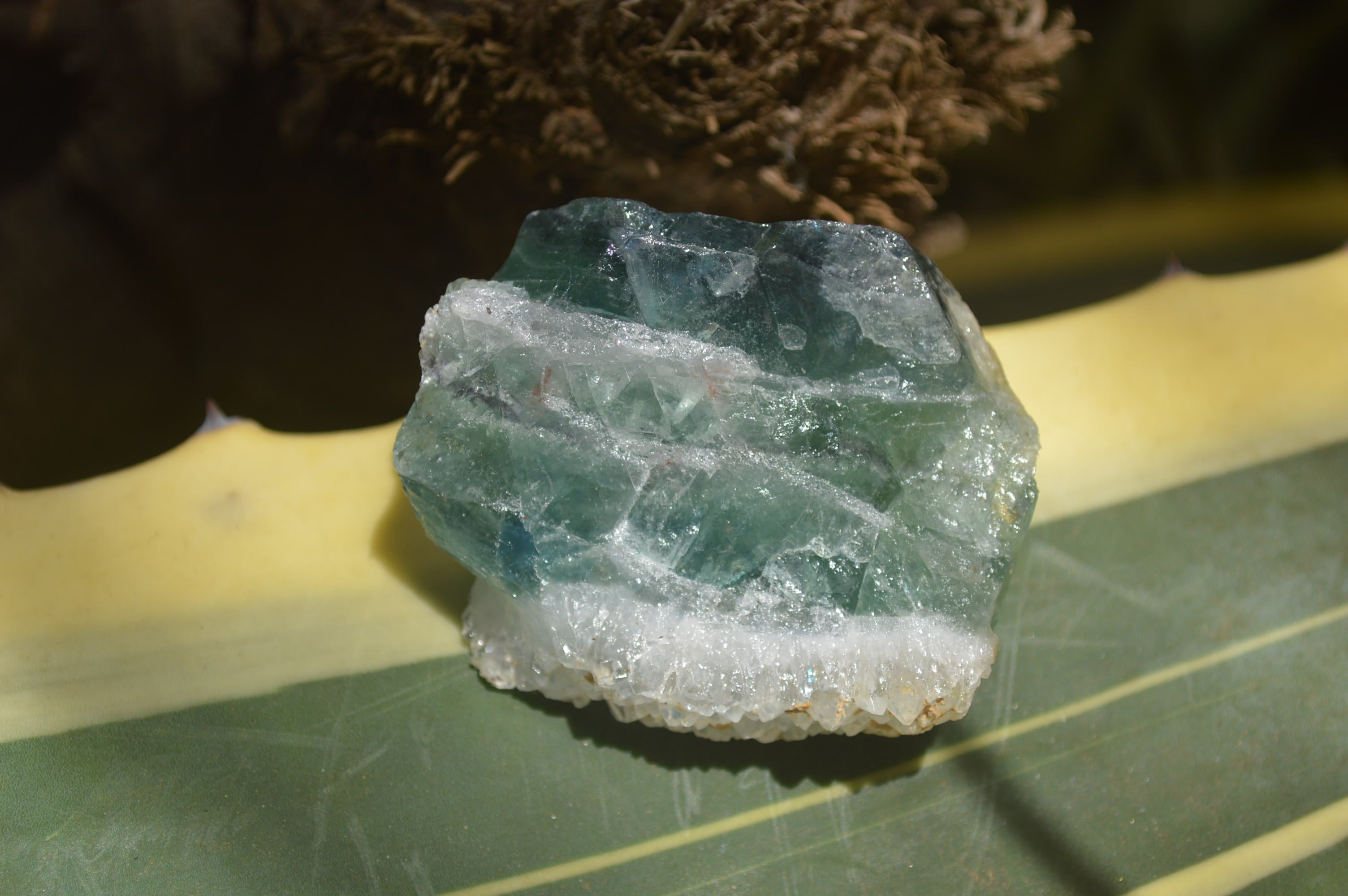 Natural Watermelon Fluorite Cobbed Specimens x 11 From Uis, Namibia - Toprock Gemstones and Minerals 