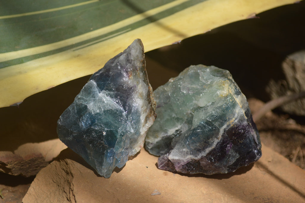 Natural Watermelon Fluorite Cobbed Specimens x 11 From Uis, Namibia - Toprock Gemstones and Minerals 