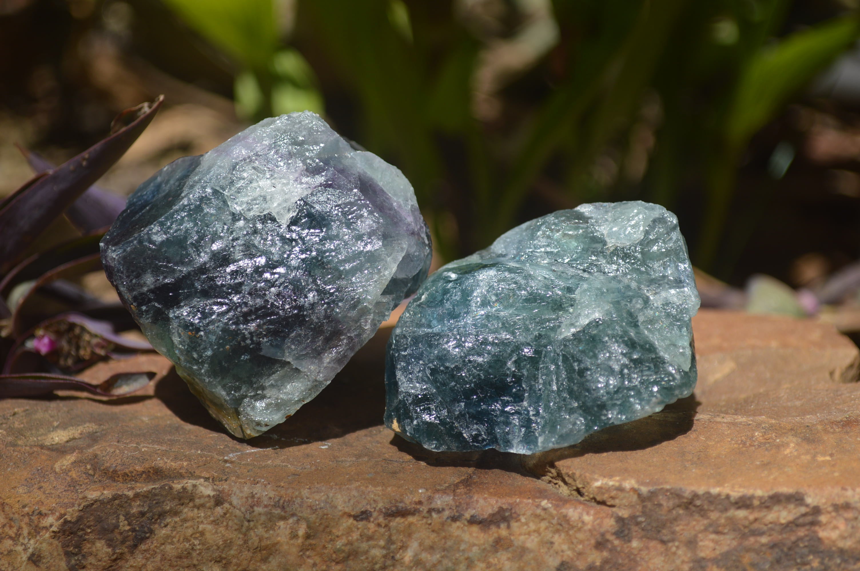 Natural Watermelon Fluorite Cobbed Specimens x 11 From Uis, Namibia - Toprock Gemstones and Minerals 