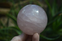 Polished Star Rose Quartz Spheres x 3 From Madagascar - Toprock Gemstones and Minerals 