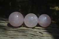 Polished Star Rose Quartz Spheres x 3 From Madagascar - Toprock Gemstones and Minerals 