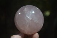 Polished Star Rose Quartz Spheres x 3 From Madagascar - Toprock Gemstones and Minerals 
