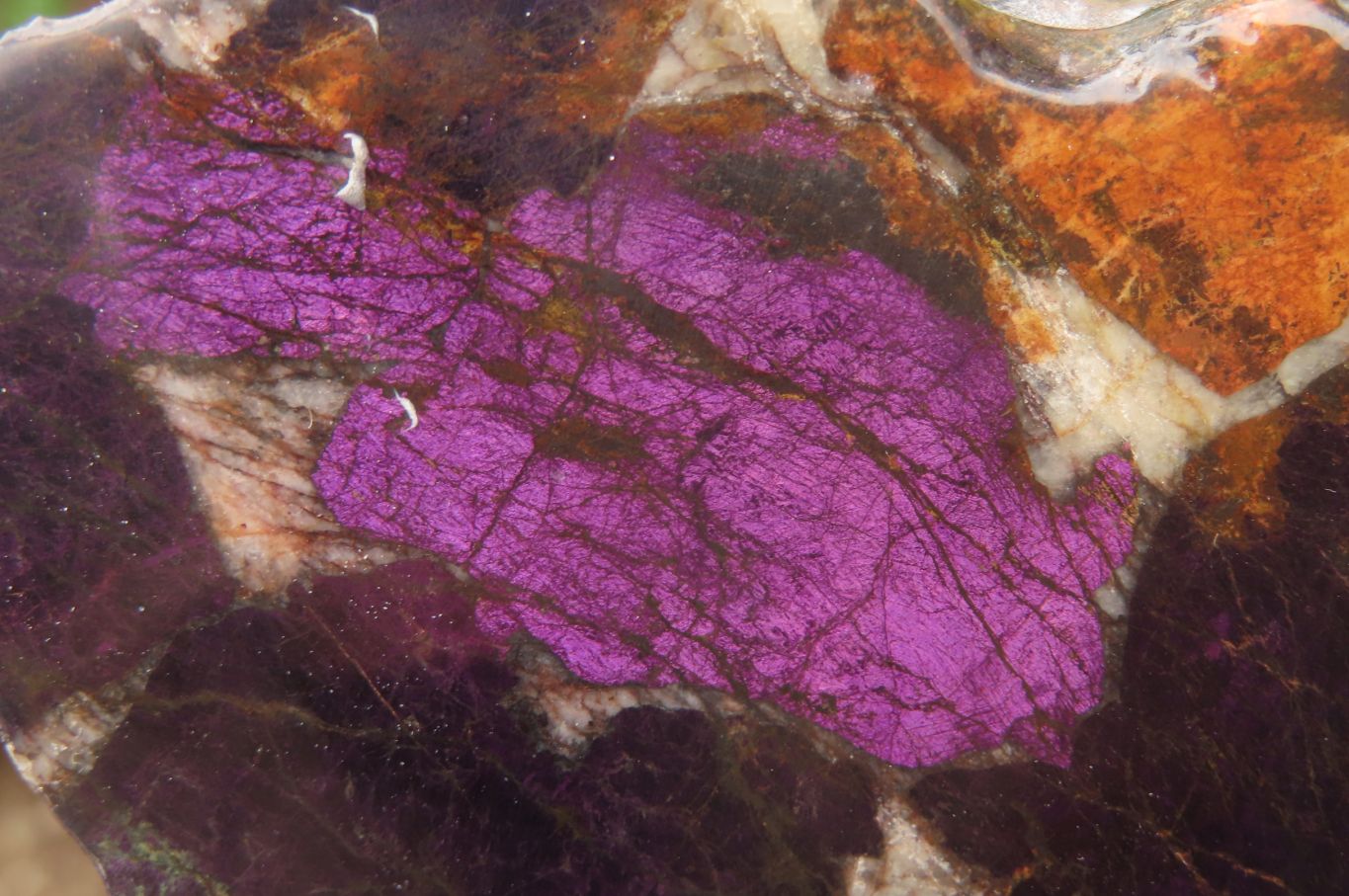 Polished Rare Metallic Purpurite Slices x 4 From Erongo, Namibia - Toprock Gemstones and Minerals 