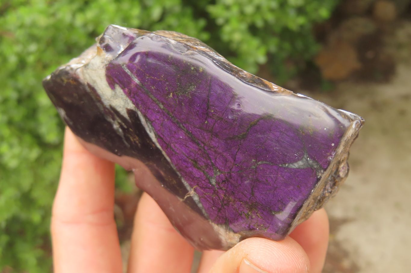 Polished Rare Metallic Purpurite Slices x 4 From Erongo, Namibia - Toprock Gemstones and Minerals 