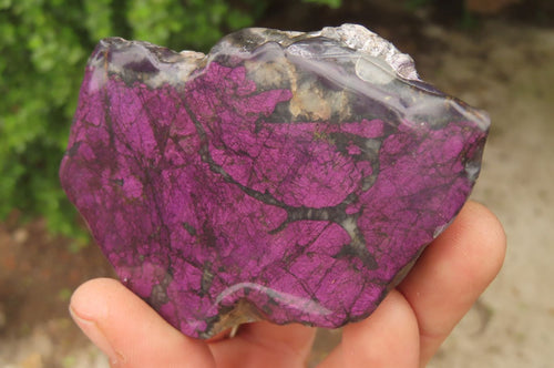 Polished Rare Metallic Purpurite Slices x 4 From Erongo, Namibia - Toprock Gemstones and Minerals 