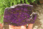 Polished Rare Metallic Purpurite Slices x 4 From Erongo, Namibia - Toprock Gemstones and Minerals 