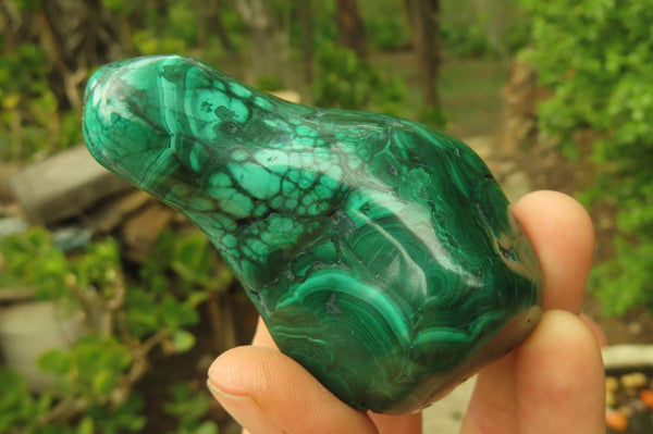 Polished Flower Banded Malachite Free Forms x 3 From Congo - Toprock Gemstones and Minerals 