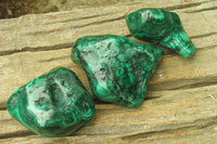 Polished Flower Banded Malachite Free Forms x 3 From Congo - Toprock Gemstones and Minerals 