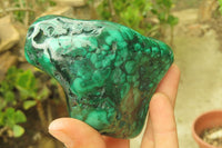 Polished Flower Banded Malachite Free Forms x 3 From Congo - Toprock Gemstones and Minerals 