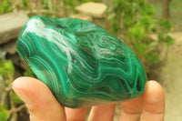 Polished Flower Banded Malachite Free Forms x 3 From Congo - Toprock Gemstones and Minerals 