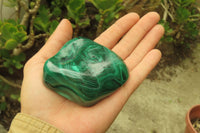 Polished Flower Banded Malachite Free Forms x 3 From Congo - Toprock Gemstones and Minerals 