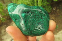 Polished Flower Banded Malachite Free Forms x 3 From Congo - Toprock Gemstones and Minerals 