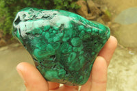 Polished Flower Banded Malachite Free Forms x 3 From Congo - Toprock Gemstones and Minerals 