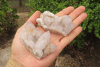 Natural Spirit Quartz Crystals and Clusters x 12 From Boekenhouthoek, South Africa - Toprock Gemstones and Minerals 