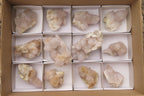 Natural Spirit Quartz Crystals and Clusters x 12 From Boekenhouthoek, South Africa - Toprock Gemstones and Minerals 