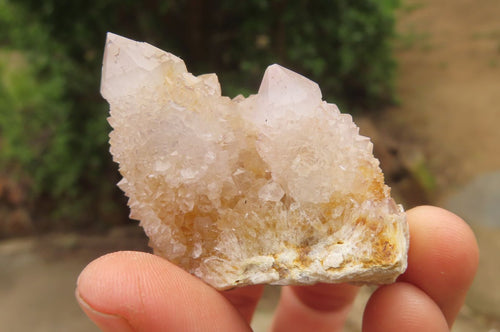 Natural Spirit Quartz Crystals and Clusters x 12 From Boekenhouthoek, South Africa - Toprock Gemstones and Minerals 