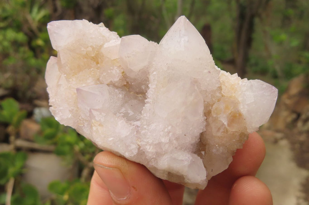 Natural Spirit Quartz Crystals and Clusters x 12 From Boekenhouthoek, South Africa - Toprock Gemstones and Minerals 