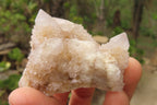 Natural Spirit Quartz Crystals and Clusters x 12 From Boekenhouthoek, South Africa - Toprock Gemstones and Minerals 