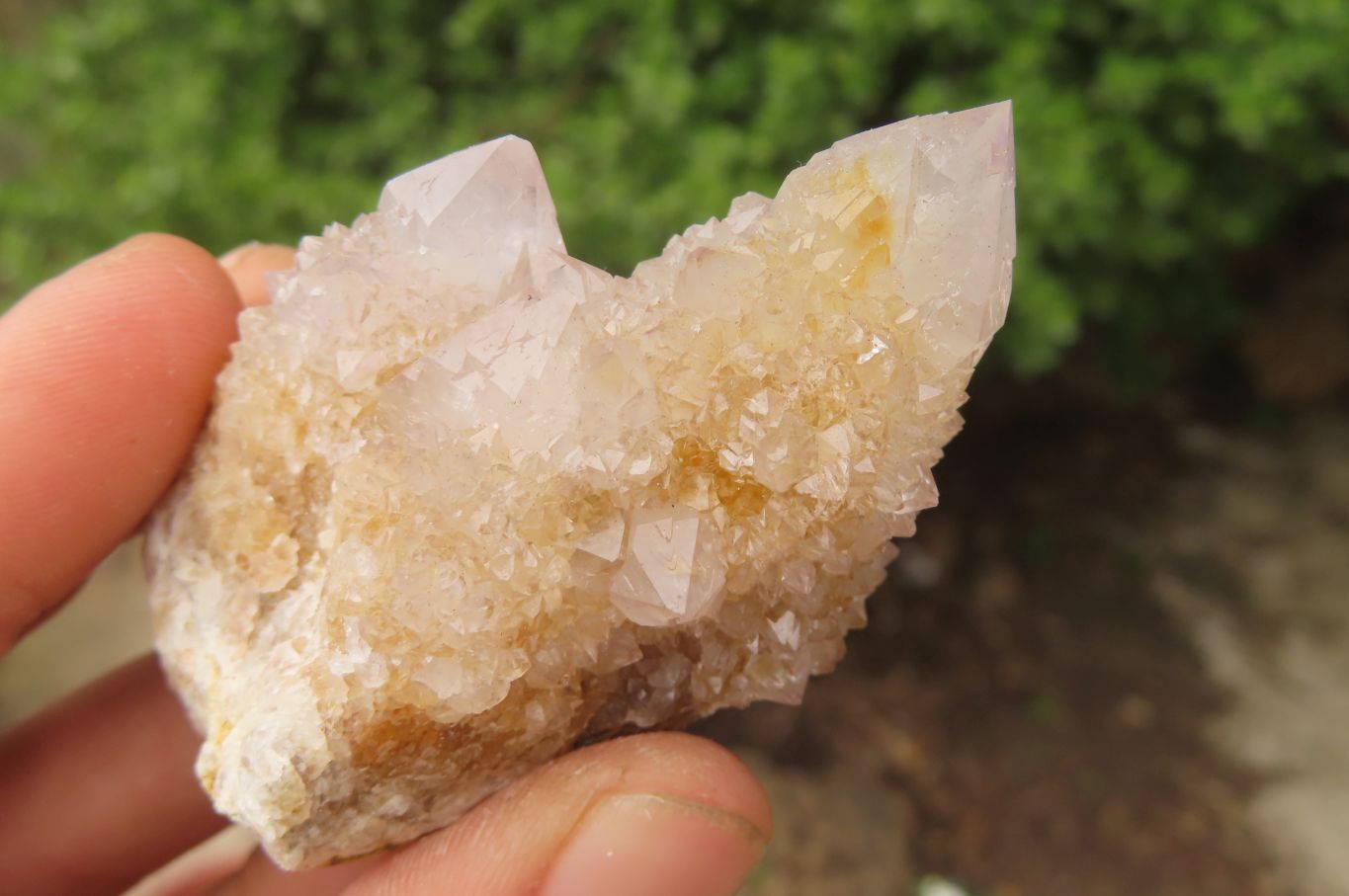 Natural Spirit Quartz Crystals and Clusters x 12 From Boekenhouthoek, South Africa - Toprock Gemstones and Minerals 