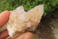 Natural Spirit Quartz Crystals and Clusters x 12 From Boekenhouthoek, South Africa - Toprock Gemstones and Minerals 