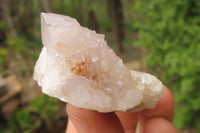 Natural Spirit Quartz Crystals and Clusters x 12 From Boekenhouthoek, South Africa - Toprock Gemstones and Minerals 
